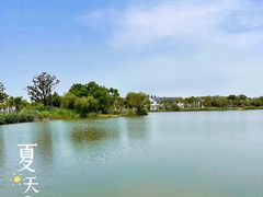 -上海长兴岛郊野公园