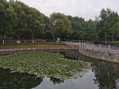 -后襄河公园