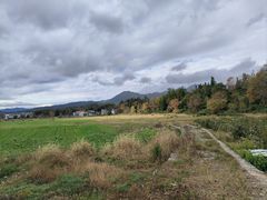 -塔川景区
