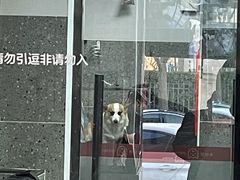 -宠物家(大兴旧宫店)
