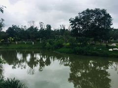 -白鹭湾湿地公园