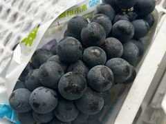 -马陆小张葡萄园农家乐