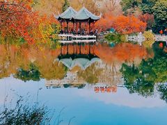 -棠湖公园