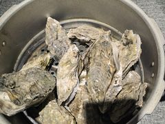 -江城老胖(支农大街店)