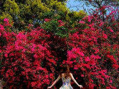 -厦门国家会计学院