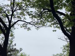 -惠山国家森林公园