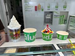 -Salud撒露欧洲冻酸奶(798艺术区店)