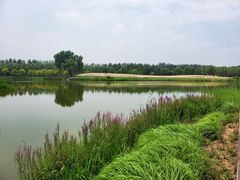-东郊湿地公园