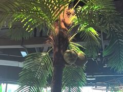 -大头椰·椰子鸡火锅(南宁万象城店)