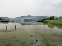 -鸣鹤古镇