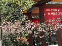 -太子山公园(园东路)