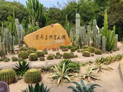 -深圳仙湖植物园