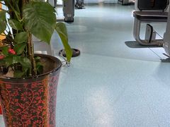 -阳光游泳培训基地(天通苑店)