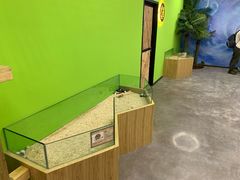 -昆明大悦城未来动物城(螺蛳湾中心店)