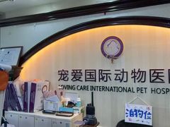 -宠爱国际动物医院·消化内科·心肾内科·ISFM猫友好(望京店)
