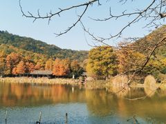 -八卦田遗址公园
