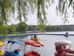 -长春市南湖公园