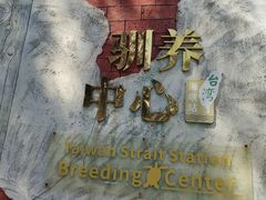 -广东惠东海龟国家级自然保护区