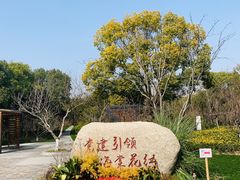 -昆山城市生态森林公园