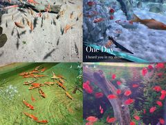-常州海昌海洋探索馆