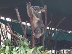 -可伦宾野生动物保护区