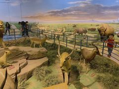 -陕西自然博物馆