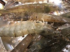 -山海经·海边人家 海鲜新青岛菜(扬州路店)