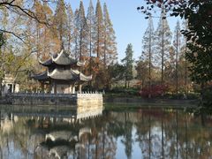 -习家池