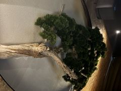 -大桶大足浴(周浦店)