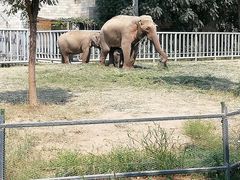 -石家庄市动物园