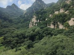 -大岭沟猕猴桃谷风景区