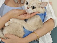 -美联众合动物医院·24h京西诊疗中心