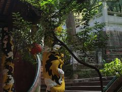 -老君山