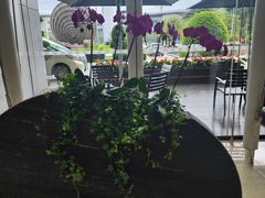 -广州白云机场雅高铂尔曼大酒店