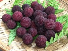 -凤嫂农家乐(梁弄店)