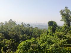 景点-火炉山森林公园