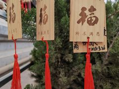 -天津大悲禅院