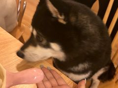 -柴の食堂·日式家庭料理·熊之肆(大学路店)