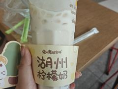 -猫的魔法密林(衣裳街店)