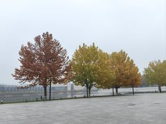 -天津万象城