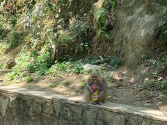 -黔灵山公园
