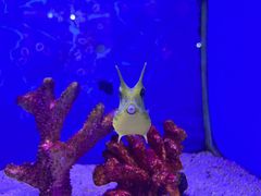 -海合安青岛极地海洋公园
