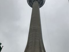 -澳门旅游塔360°旋转餐厅(南湾湖广场店)