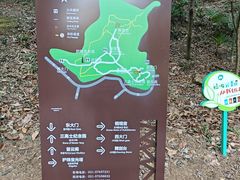 -上海佘山国家森林公园天马山园
