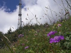 -白草畔自然风景区