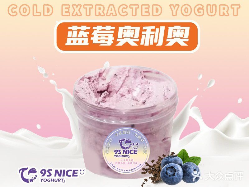 9S NICE | 冷萃酸奶真是让我挖到宝啦