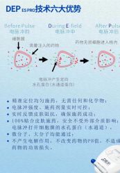 点击看大图 -玛莲朵·海菲秀冰珀科