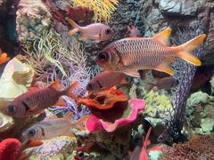 -太平洋海底世界