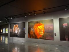 -罗红摄影艺术馆