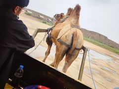 -水洞沟旅游区